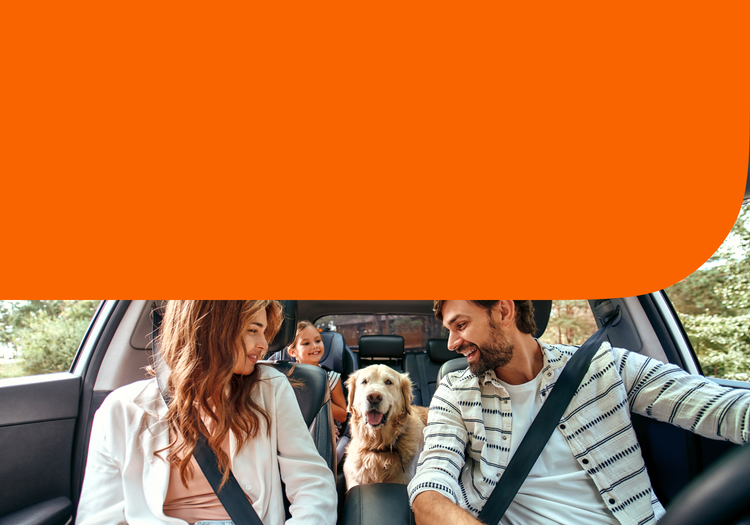 A family in a dog-friendly car