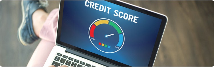 Young Man checking Credit Score on Computer before buying car